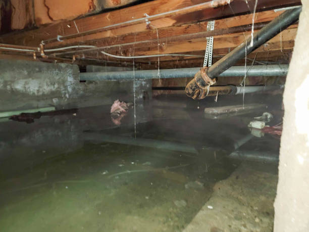 Best Local water damage restoration  in Tieton, WA