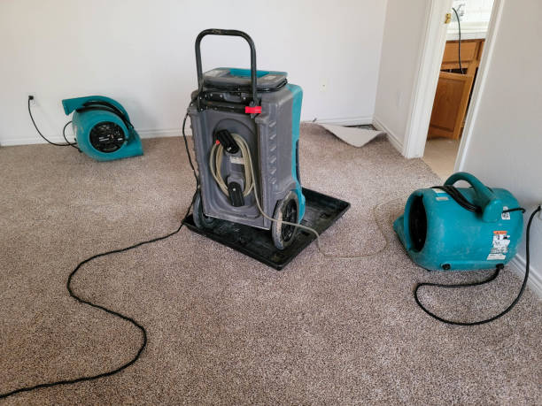 Best 24/7 water damage repair  in Tieton, WA