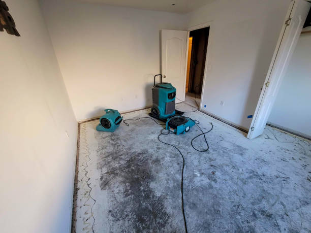 Best Fire Damage Restoration  in Tieton, WA