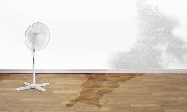 Carpet water damage restoration in Tieton, WA
