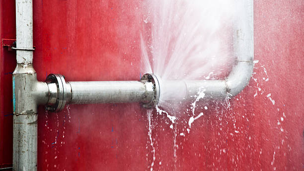Best Mold removal after water damage  in Tieton, WA