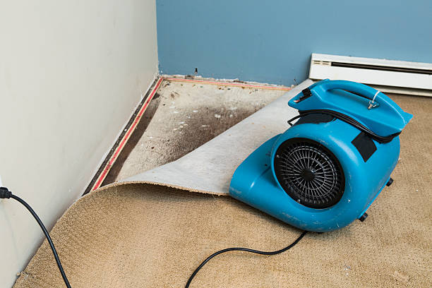 Best 24-hour water damage restoration  in Tieton, WA